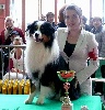  - BEST IN SHOW !!!! 