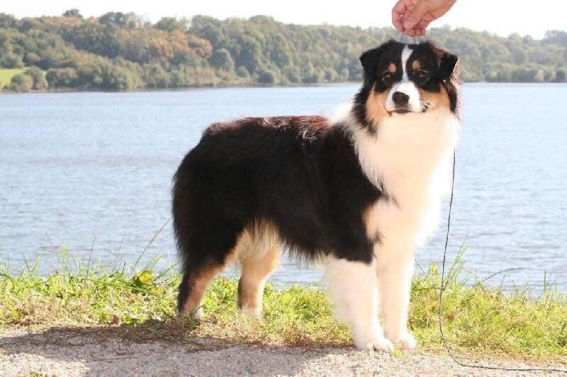 CH. Let it grow Of Fender Song